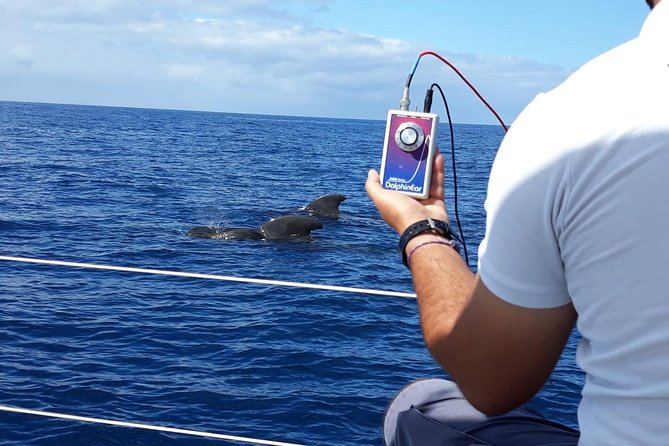 Private Yacht Tour With Whale and Dolphin Watching 42 Foot Boat - What to Bring and How to Plan