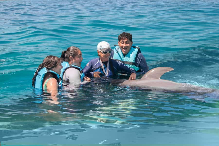 Puerto Aventuras: Dolphin and Manatee Interaction with Lunch - Dolphins, manatees, and lunch in one compact visit