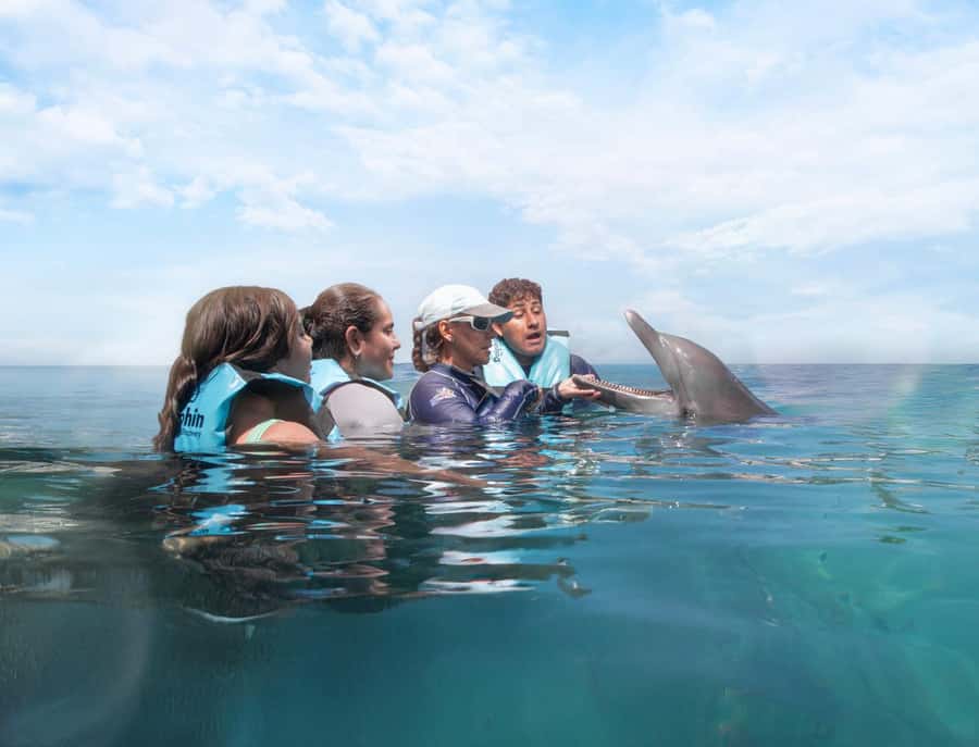 Puerto Aventuras: Dolphin and Manatee Interaction with Lunch - The opening briefing sets the rules
