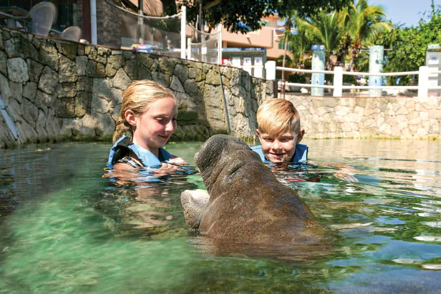 Puerto Aventuras: Dolphin and Manatee Interaction with Lunch - Lockers, showers, and marina time