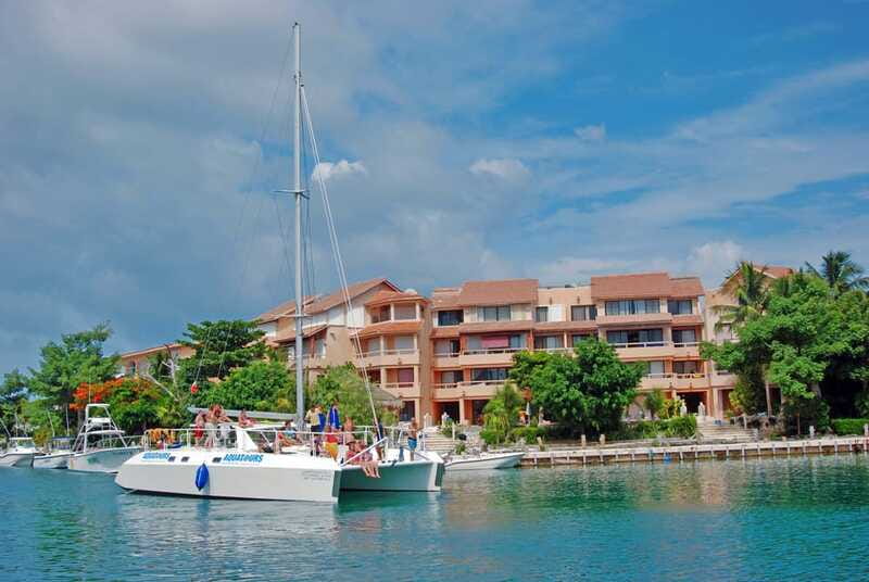 Puerto Aventuras: Dolphin Encounter with Buffet Lunch - The strongest reasons to book