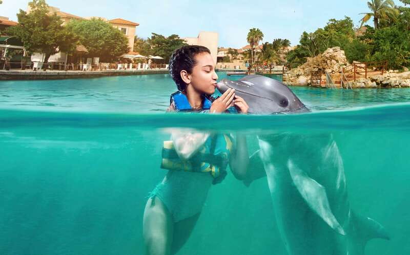 Puerto Aventuras: Dolphin Encounter with Buffet Lunch - What the $87 ticket really includes