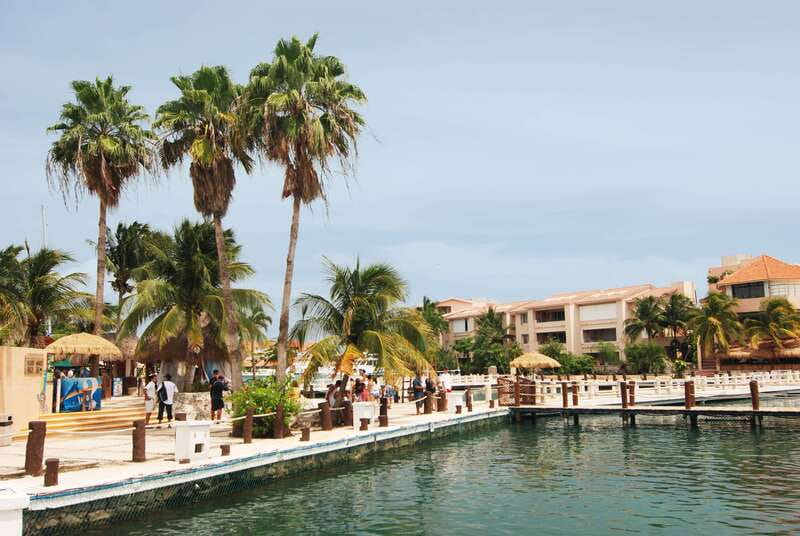 Puerto Aventuras: Dolphin Encounter with Buffet Lunch - Buffet lunch and the 3:00 pm catch