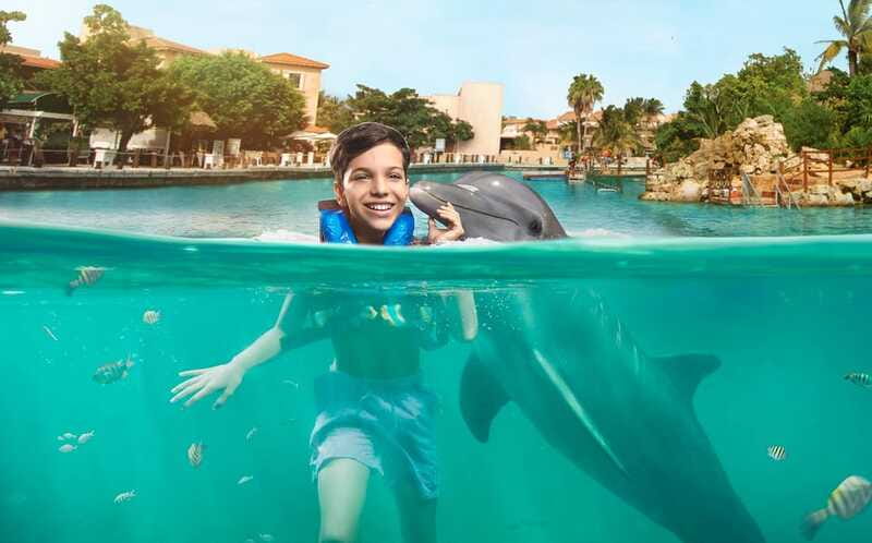 Puerto Aventuras: Dolphin Encounter with Buffet Lunch - Exploring Puerto Aventuras Marina