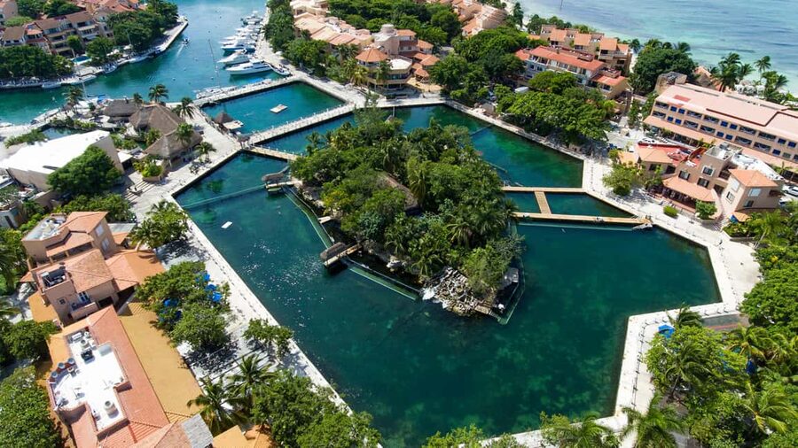 Puerto Aventuras: Dolphin & Manatee Encounter with lunch - What the Puerto Aventuras hour is really like