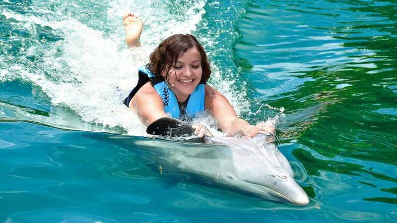 Puerto Aventuras: Dolphin & Manatee Encounter with lunch - Buffet lunch and Mexican aguas frescas