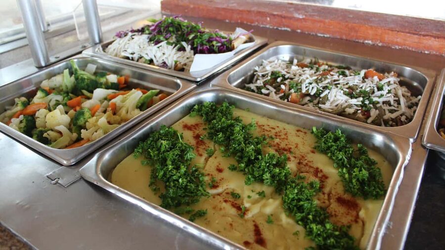 Puerto Aventuras: Dolphin & Manatee Encounter with lunch - Is $111 a fair price?