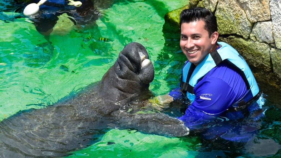 Puerto Aventuras: Dolphin & Manatee Encounter with lunch - Who will enjoy this experience most?