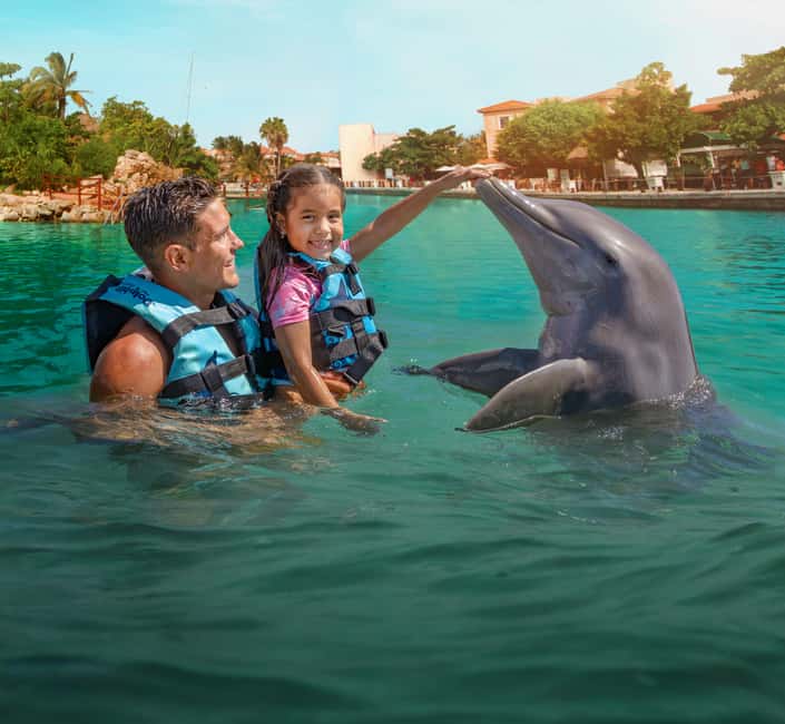 Puerto Aventuras: Dolphin & Manatee Encounter with lunch - Should you book the dolphin and manatee encounter?