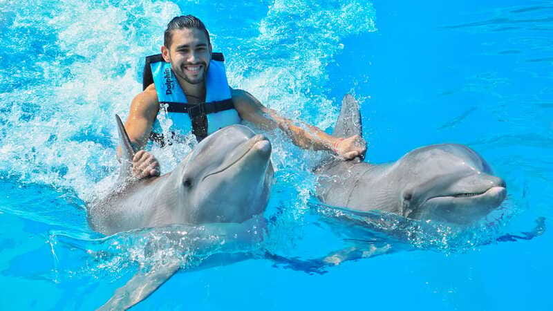 Puerto Aventuras: Dolphin Swim, Sea Lions, Manatees, & Lunch - A slower half-hour with the manatees