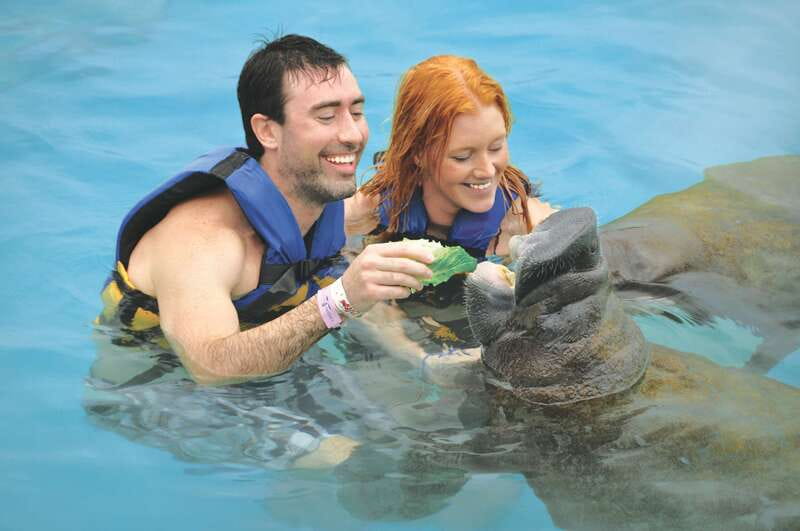 Puerto Aventuras: Dolphin Swim, Sea Lions, Manatees, & Lunch - Lunch, drinks, and Puerto Aventuras facilities