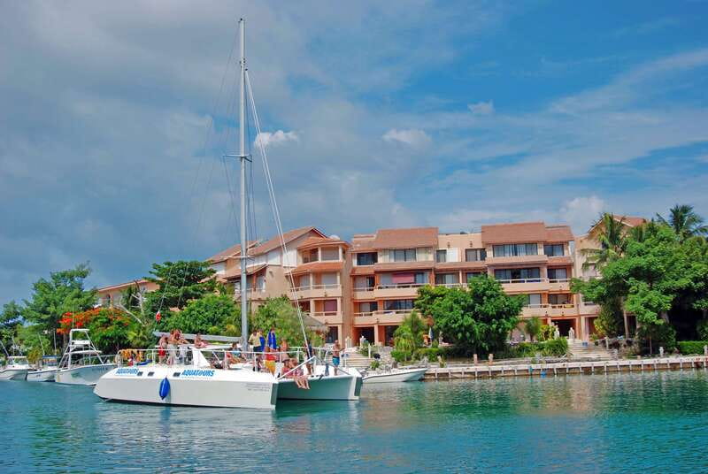 Puerto Aventuras: Dolphin Swim, Sea Lions, Manatees, & Lunch - Getting there and making the schedule work