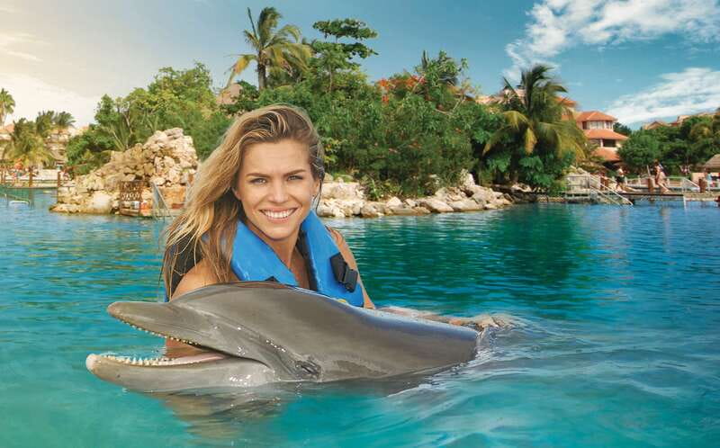 Puerto Aventuras: Dolphin Swim, Sea Lions, Manatees, & Lunch - Starting with the briefing and dolphin swim