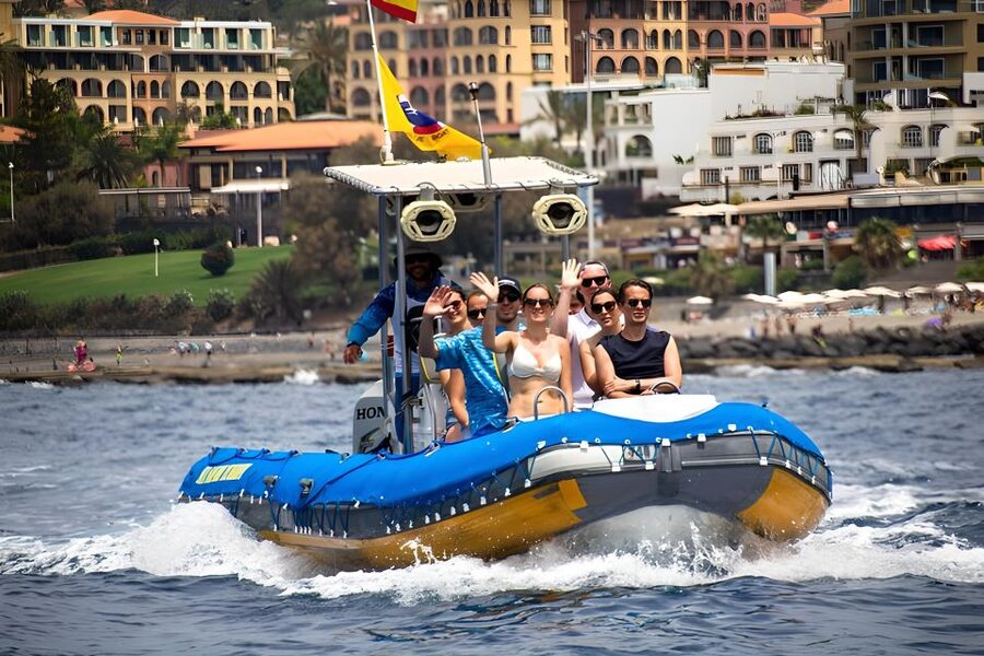 Puerto Colon: Dolphin and Whale Watching Speedboat Cruise - Coastal Views and Clear-Day Sights
