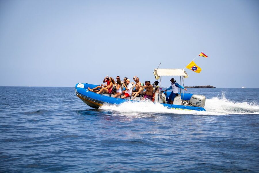 Puerto Colon: Dolphin and Whale Watching Speedboat Cruise - The Bay Stop for Swimming and Snorkeling