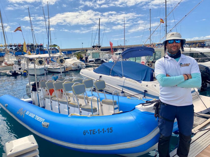 Puerto Colon: Dolphin and Whale Watching Speedboat Cruise - Sandwich, Drink, and a Useful Pause