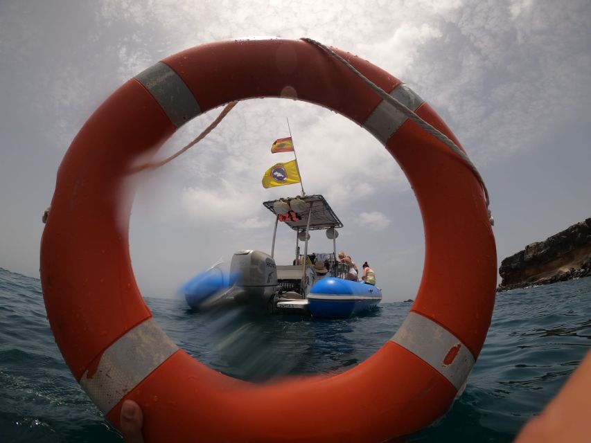 Puerto Colon: Dolphin and Whale Watching Speedboat Cruise - Should You Book the Puerto Colón Speedboat Cruise?