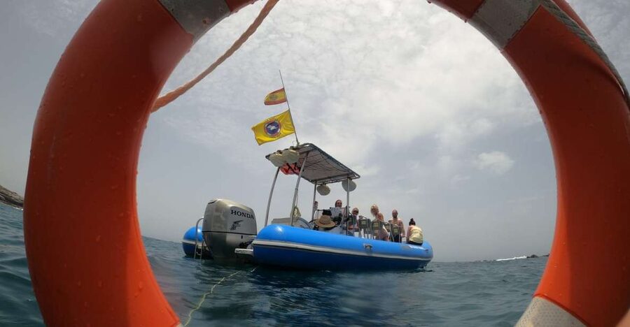 Puerto Colon: Dolphin and Whale Watching Speedboat Tour - Watching dolphins and pilot whales offshore