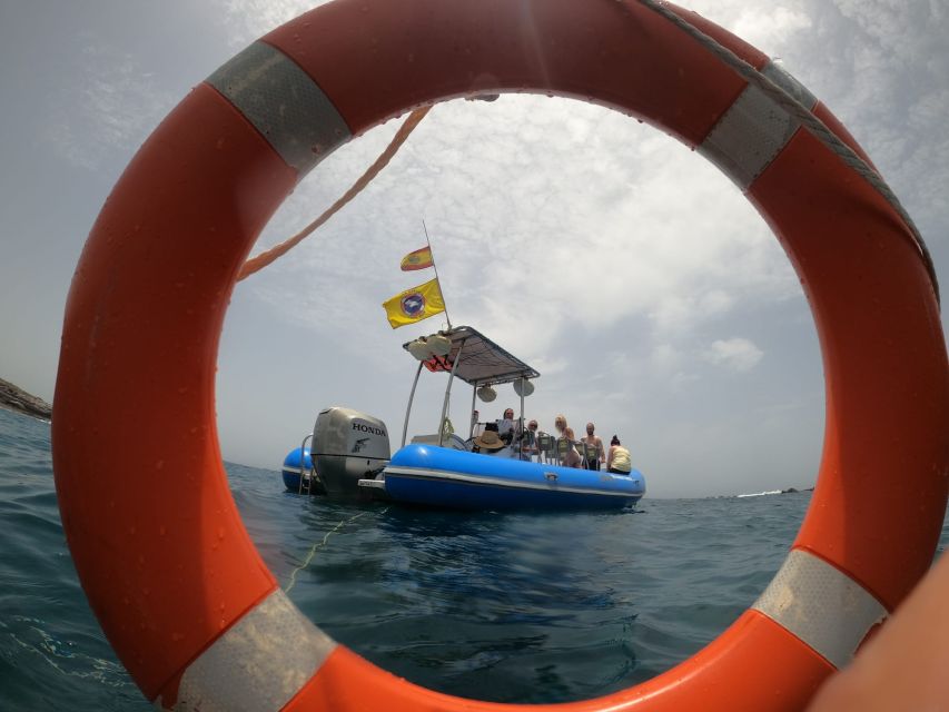 Puerto Colon: Dolphin and Whale Watching Speedboat Tour - Why the small speedboat changes the experience