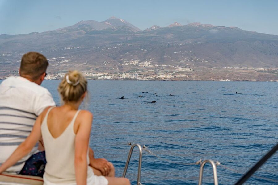 Puerto Colon: Whale and Dolphin Watching Yacht Trip - Simple preparation for a better outing
