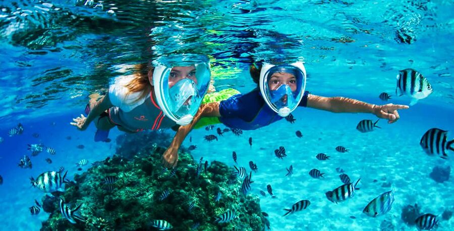Puerto del Carmen: Dolphin-Watching Speedboat Tour with Swim - FAQ