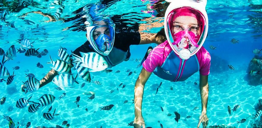 Puerto del Carmen: Dolphin-Watching Speedboat Tour with Swim - What the coastal views add to the trip