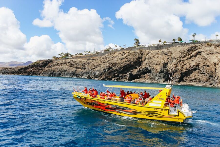 Puerto del Carmen: Dolphin-Watching Speedboat Tour with Swim - Is $41 good value for 1.5 hours?