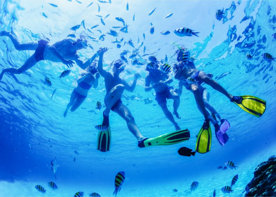 Puerto del Carmen: Dolphin-Watching Speedboat Tour with Swim - Practical advice for a smoother outing