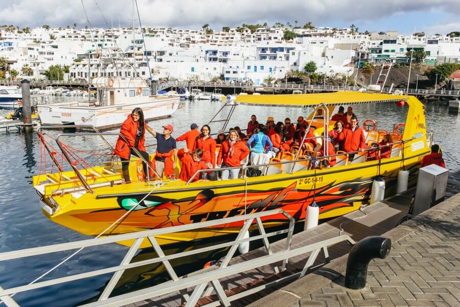 Puerto del Carmen: Dolphin-Watching Speedboat Tour with Swim - Searching for dolphins and whales in open water
