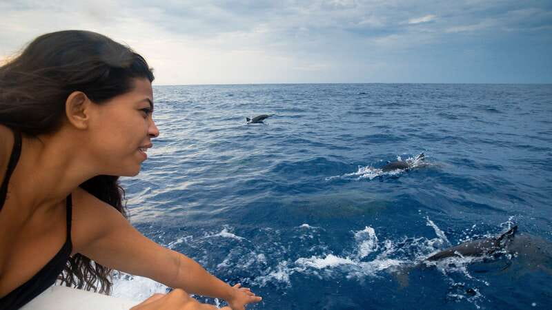 Puerto Escondido: Boat Tour among Dolphins and Turtles - Key points to know before booking
