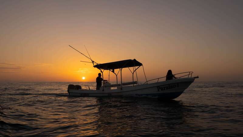 Puerto Escondido: Boat Tour among Dolphins and Turtles - Setting out from Puerto Escondido at 7:00 AM