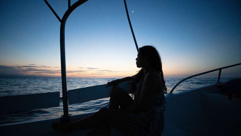 Puerto Escondido: Boat Tour among Dolphins and Turtles - Three hours of searching the Pacific