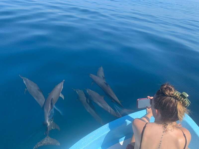 Puerto Escondido: Boat Tour to see Dolphins and Marine Life - Five things to know before you book
