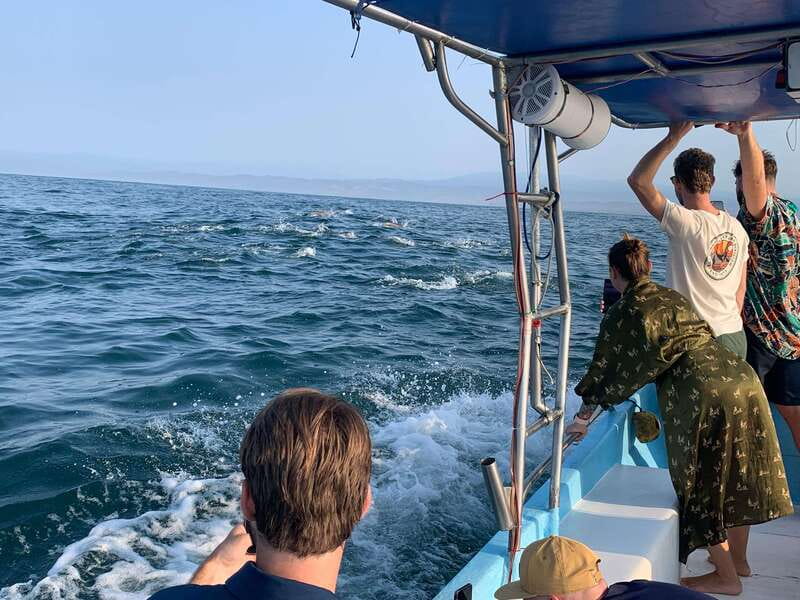 Puerto Escondido: Boat Tour to see Dolphins and Marine Life - Swimming with dolphins, with a necessary caveat