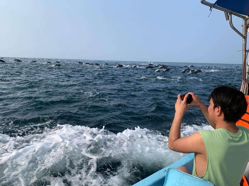 Puerto Escondido: Boat Tour to see Dolphins and Marine Life - Searching for dolphins, turtles, and flying fish