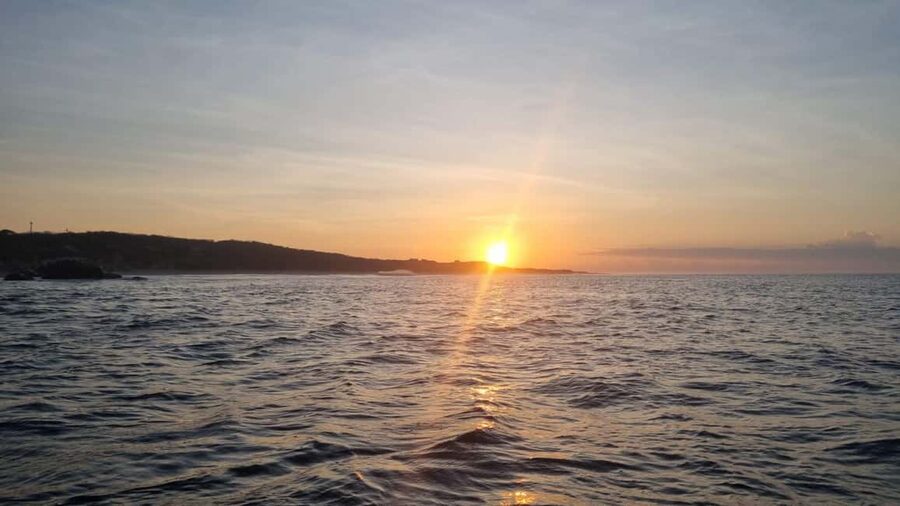Puerto Escondido: The Best Adventure for Dolphin Watching - A closer look at the $52 price