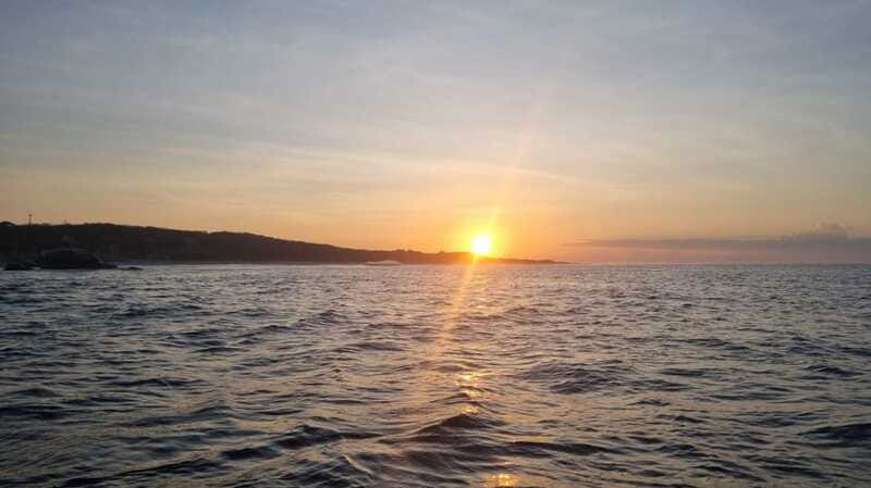 Puerto Escondido: The Best Adventure for Dolphin Watching - Should you book this dolphin tour?