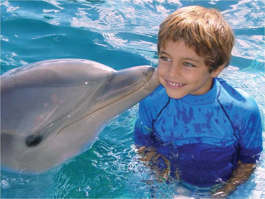 Puerto Plata: Dolphin Encounter at Ocean World - What your 510-minute day looks like