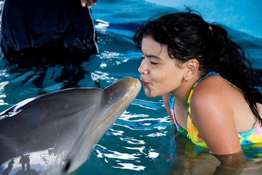 Puerto Plata: Dolphin Encounter at Ocean World - The 15-minute dolphin encounter
