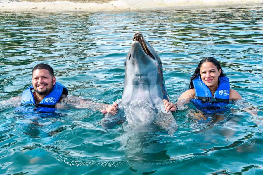 Puerto Plata: Ocean World Adventure Park Swim with Dolphins - Sea lions, birds, sharks, and lovebirds