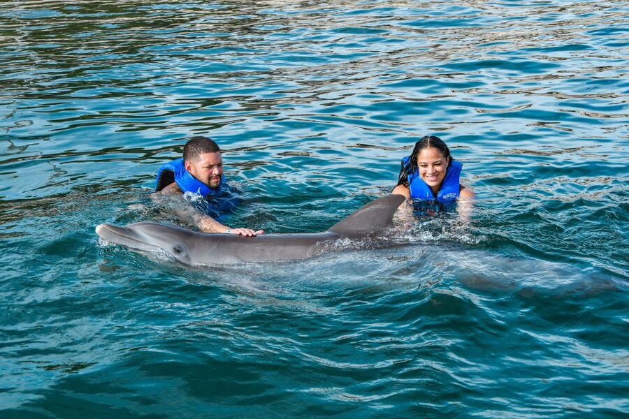 Puerto Plata: Ocean World Adventure Park Swim with Dolphins - Languages, weather, and cruise passengers