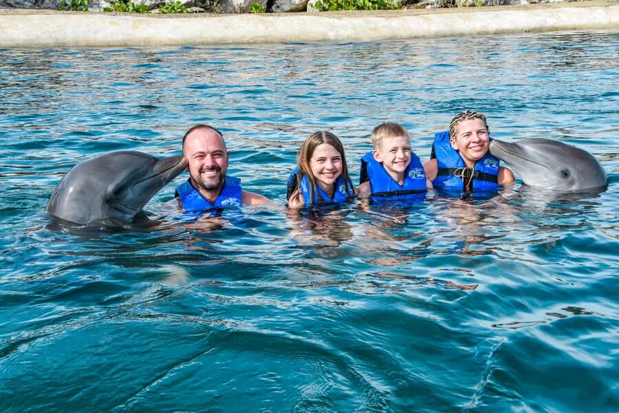 Puerto Plata: Ocean World Adventure Park Swim with Dolphins - Meeting the two dolphins