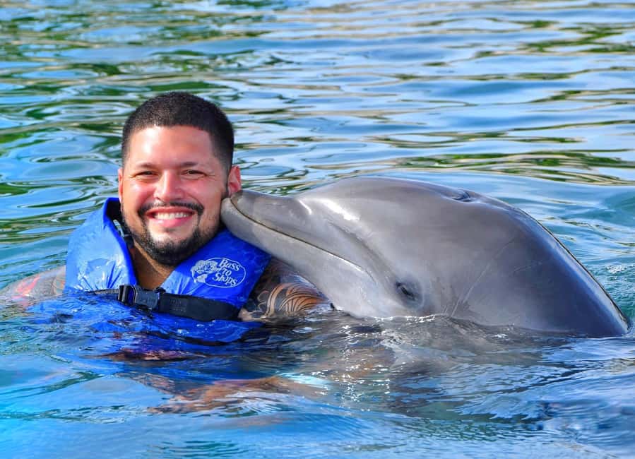 Puerto Plata Ocean World Dolphin Swim - Quick points before you book