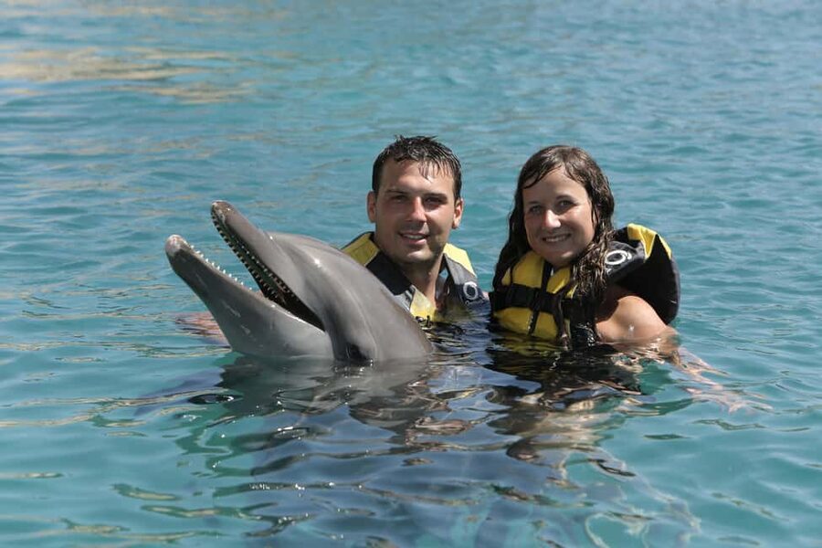 Puerto Plata Ocean World Dolphin Swim - What the $189 Ocean World day actually gives you