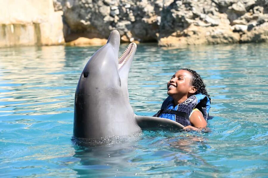 Puerto Plata Ocean World Dolphin Swim - The orientation sets the tone