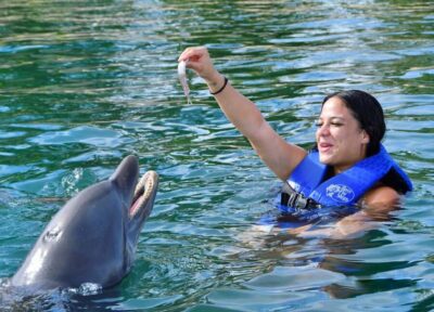 Puerto Plata Ocean World Dolphin Swim