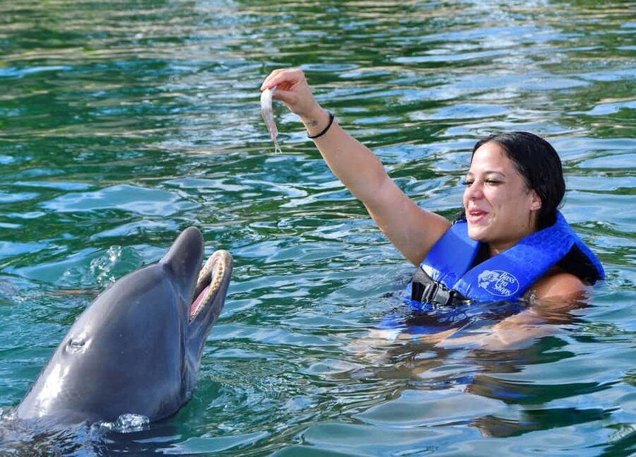 Puerto Plata Ocean World Dolphin Swim - Getting there from Puerto Plata hotels