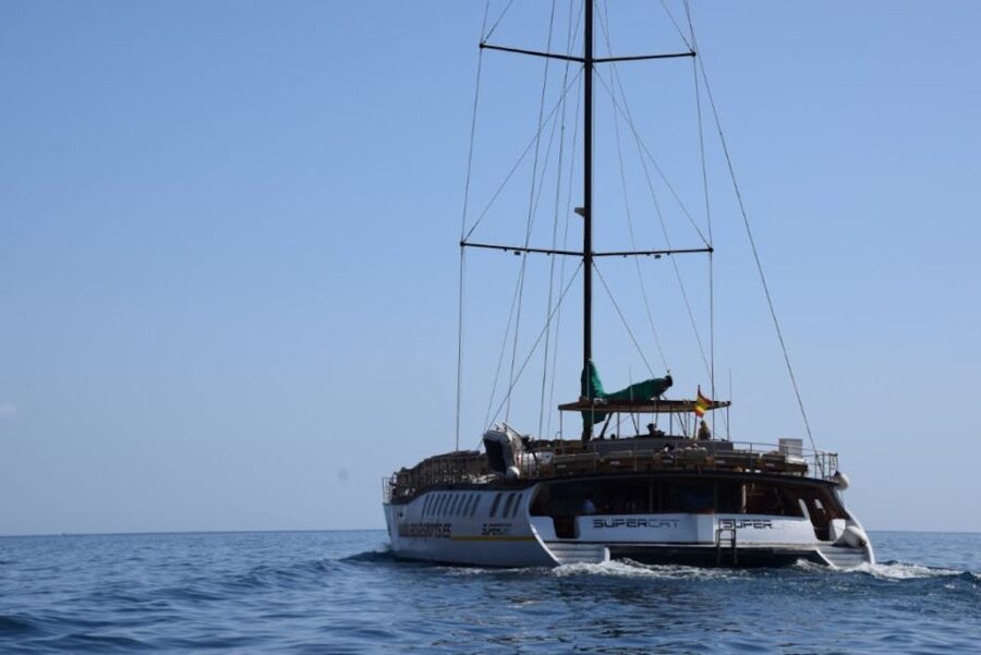Puerto Rico : 2 hour Dolphin Catamaran Excursion - The key facts at a glance