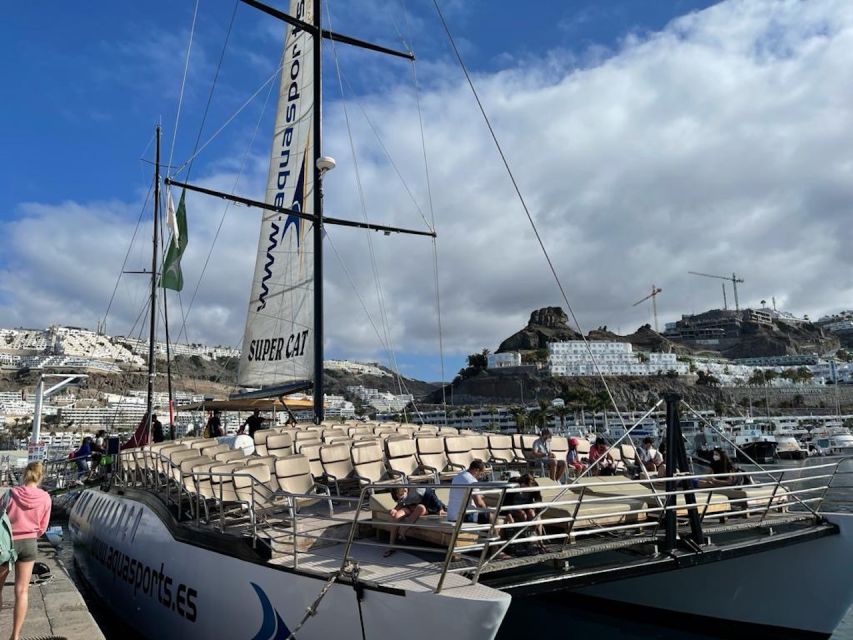 Puerto Rico : 2 hour Dolphin Catamaran Excursion - Should you book the Puerto Rico dolphin catamaran trip?