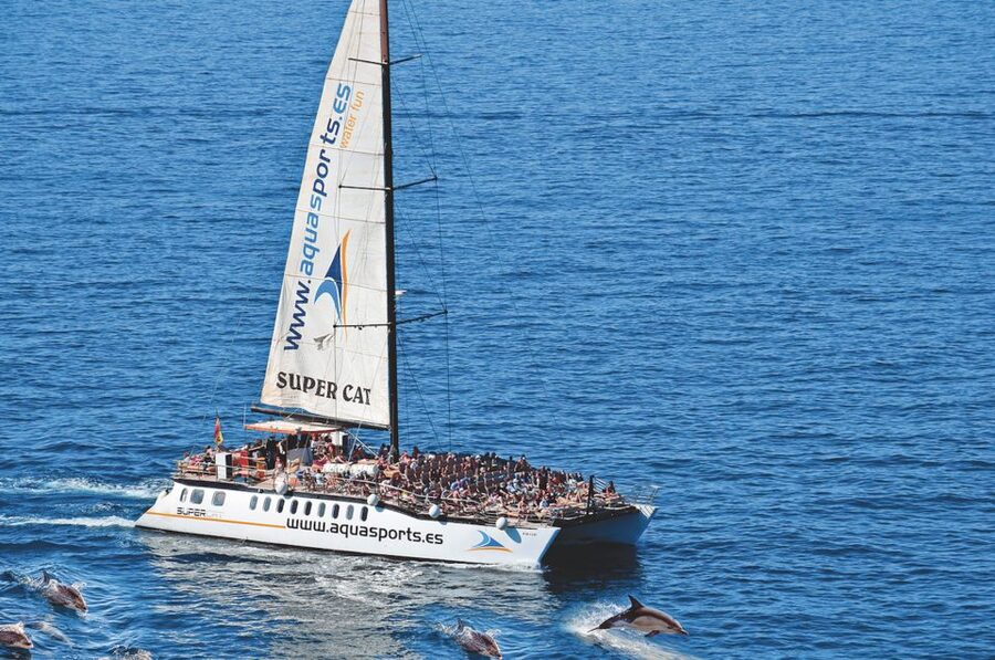Puerto Rico : 2 hour Dolphin Catamaran Excursion - Setting off from Puerto Rico Puerto Base